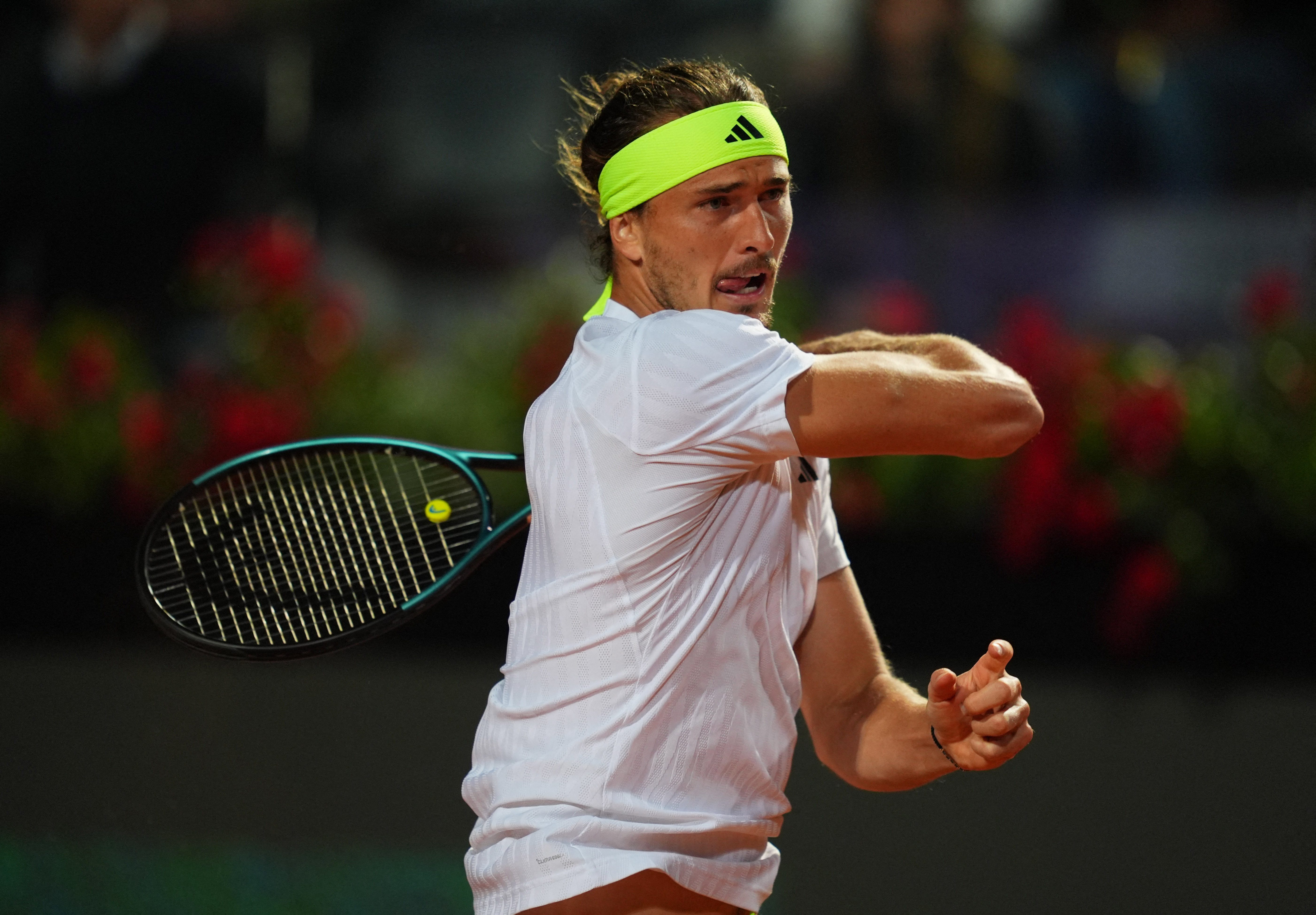 九游中国-关于意大利网球队强势美国网球队，穆雷打破历史纪录的信息