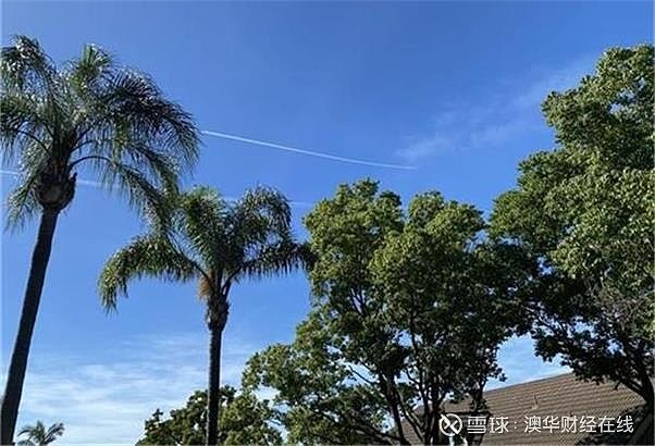 包含柏林联邦连战连胜,士气高涨信心大增的词条 包含柏林联邦连战连胜,士气高涨信心大增的词条