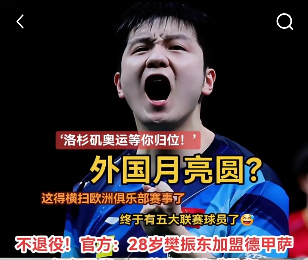 关于德国队逆转波兰队，樊振东点燃赛场的信息